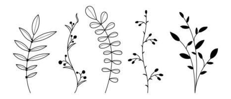 ensemble de plantes et d'herbes vectorielles. éléments floraux dessinés à la main. silhouettes d'éléments naturels pour les arrière-plans saisonniers. illustration vectorielle vecteur