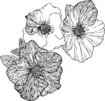 fleurs d'hibiscus. dessin vectoriel noir et blanc. pour la coloration et l'illustration.