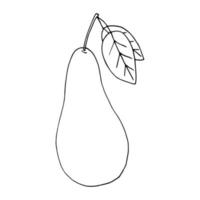 poire avec feuille dessinée à la main dans un style doodle. fruits, nourriture. icône, autocollant. vecteur