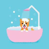 bain de toilettage pour chien, superbe design à toutes fins. notion de beauté. adorable animal de compagnie. lavage pour animaux de compagnie, toilettage vecteur