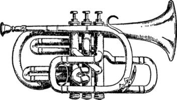 cornet, illustration vintage. vecteur
