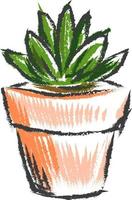 plante en pot, illustration, vecteur sur fond blanc.