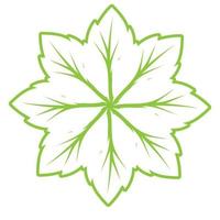 conception d'ornement vert feuille et modèle de vecteur de symbole