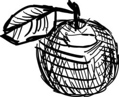 croquis de pomme, illustration, vecteur sur fond blanc.