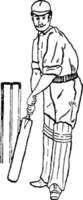 illustration vintage de cricket. vecteur