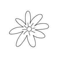 fleur de doodle mignon isolé sur fond blanc. illustration vectorielle dessinée à la main. parfait pour les cartes, logo, décorations, divers designs. clipart botanique. vecteur