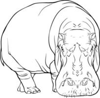 croquis d'hippopotame. dessin vectoriel noir et blanc. pour les livres de coloriage et pour le design.