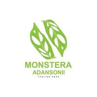 logo de feuille de monstera adansonii, vecteur de plante verte, vecteur d'arbre, illustration de feuille rare