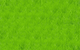 champ d'herbe verte vecteur