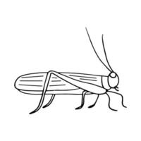 sauterelle dessinée à la main dans un style doodle. insecte, criquet. monochrome, simple, minimalisme, autocollant icône silhouette scandinave vecteur