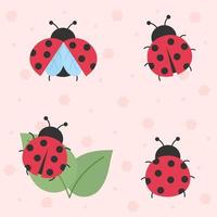 ensemble de coccinelle de dessin animé mignon. vecteur