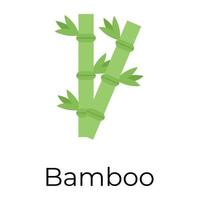 concepts de bambou à la mode vecteur