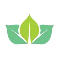 feuille verte logo et symbole vecteur