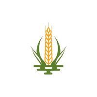 modèle de vecteur de conception de logo d'agriculture de grain de blé