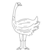 adorable autruche. oiseau mignon dans un style doodle dessiné à la main. illustration vectorielle. vecteur
