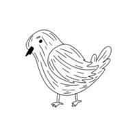 oiseau mignon dans un style doodle dessiné à la main. illustration vectorielle. vecteur