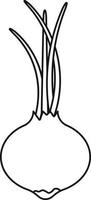 oignons représentés sous la forme d'un dessin de contour vecteur