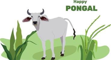 bonne fête religieuse pongal avec fond de vacances du sud de l'inde et joyeux pongal. illustration vectorielle. festival du tamil nadu, inde du sud. vache indienne sacrée. zébu buffle vecteur