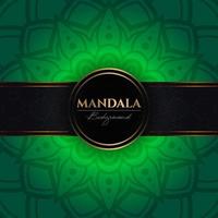 12modèle de fond de vecteur de luxe avec des éléments de mandala floral ethnique, fond de couleur verte ornementale arabesque