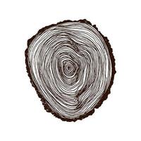 coupe transversale en bois. motif d'anneau ondulé de texture de bois de vecteur d'une tranche de bois. une souche en bois dans les tons de gris est isolée sur blanc. illustration vectorielle. fond d'arbre de coupe transversale