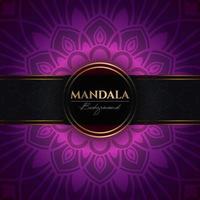 modèle de fond de vecteur de luxe avec des éléments de mandala floral ethnique, fond violet ornemental arabesque