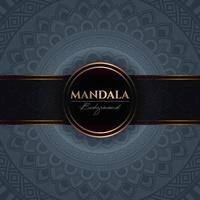 modèle de fond de vecteur de luxe avec des éléments de mandala floral ethnique, fond ornemental arabesque