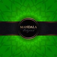 modèle de fond de vecteur de luxe avec des éléments de mandala floral ethnique, fond vert ornemental arabesque