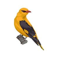 illustration vectorielle d'oiseau oriole doré eurasien vecteur