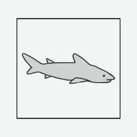 conception de requin de vecteur