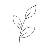 brindille mignonne avec des feuilles isolées sur fond blanc. illustration vectorielle dessinée à la main dans un style doodle. parfait pour les cartes, logo, décorations, divers designs. clipart botanique. vecteur