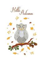 carte postale d'automne avec hibou sur branche de chêne, glands et feuilles vertes et jaunes vecteur