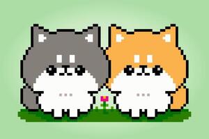 Pixels 8 bits de deux chiens shiba inu. pixels d'animaux pour les jeux d'actifs ou les motifs de point de croix dans les illustrations vectorielles. vecteur