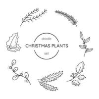 ensemble de plantes de noël dessinées à la main. vecteur