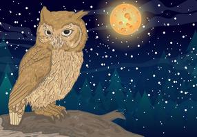 Owl Avec Full Moon Background vecteur