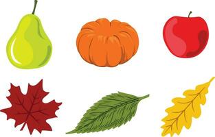 ensemble d'ornement de jour de thanksgiving et icône de choses poire, citrouille, pomme, illustration vectorielle de feuille d'érable vecteur
