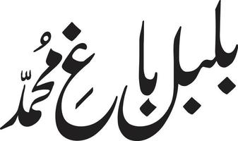 bul bul baagh mommad calligraphie islamique ourdou vecteur gratuit