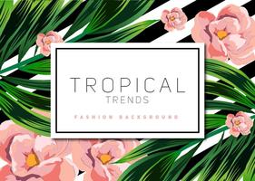 Vector Tropical Background