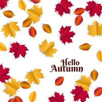 bonjour illustration d'automne avec des feuilles d'automne dispersées. feuilles d'érable et de menthe tombant sur le sol. vecteur