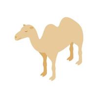 icône de chameau, style 3d isométrique vecteur