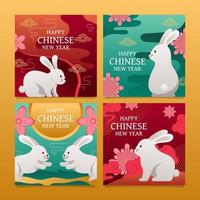 joyeux nouvel an chinois lapin d'eau publication sur les réseaux sociaux vecteur