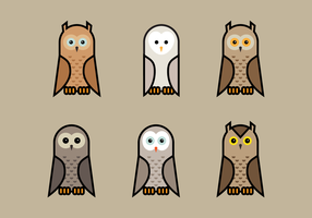 Brown Owls Vector