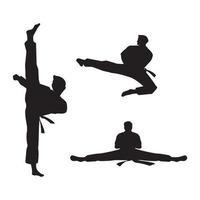 conception d'icône vectorielle de taekwondo vecteur
