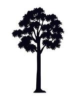 arbre plante silhouette noire vecteur