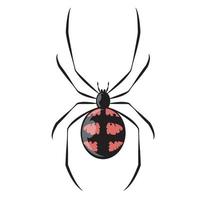 araignée noire et rouge, gros plan d'araignée, grande araignée effrayante isolée sur blanc, insecte venimeux, fond d'arachnophobie, icône de vecteur d'araignée