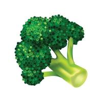 icône de chou brocoli, style isométrique vecteur
