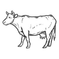 icône de vache, style dessiné à la main vecteur