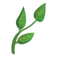 icône de plante de thé matcha, style cartoon vecteur