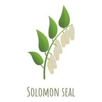 icône de polygonatum de sceau de salomon, style cartoon vecteur