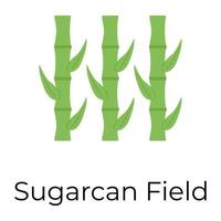 champ de canne à sucre à la mode vecteur