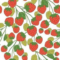 modèle vectorielle continue avec de grosses fraises sauvages savoureuses sur fond blanc. imprimé d'été à la mode avec des baies dans un style dessiné à la main. illustration de nourriture d'été délicieuse et délicieuse. vecteur